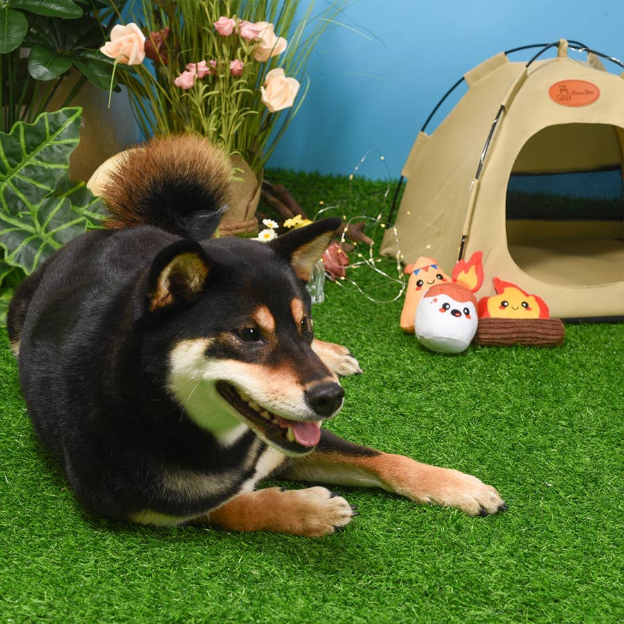 HugSmart | Camp Hound Toy Hugsmart Products Inc 