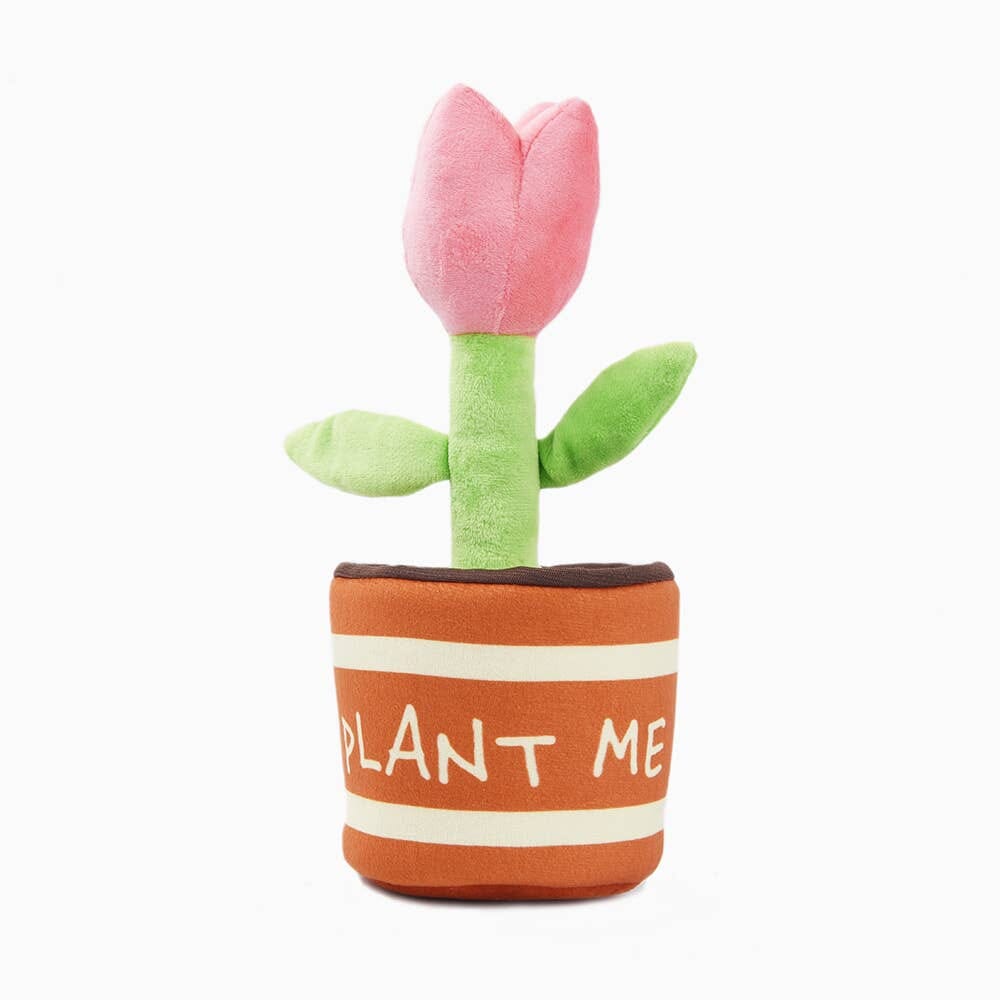 HugSmart | Tulip in Pot Toy Hugsmart Products Inc 