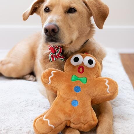 Ginger Bread Dude | Huxley & Kent toy Huxley & Kent 