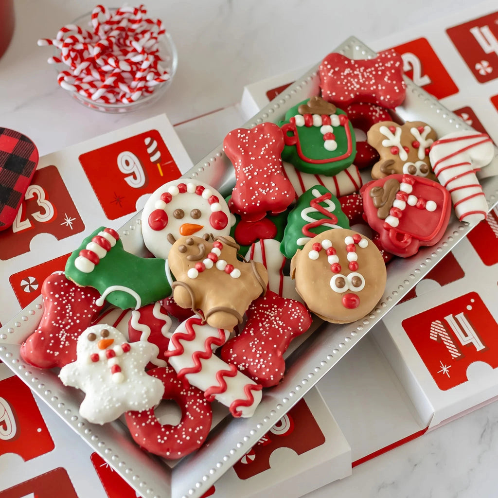 Premium Musical Advent Calendar | Bocce's Bakery Treat Bocce's Bakery 