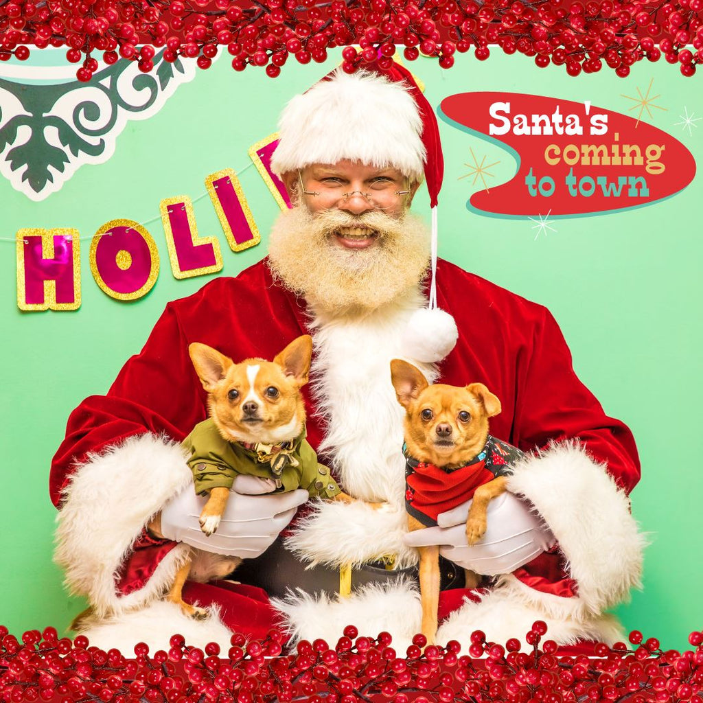 Pics with Santa for your Pup! <br/> Sunday Dec 10th <br/> 11am-2pm Arts & Entertainment Chateau Le Woof 