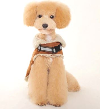 Military Harness Coat | DOGO DOGO 