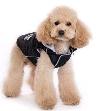 City Puffer Jacket | DOGO DOGO 