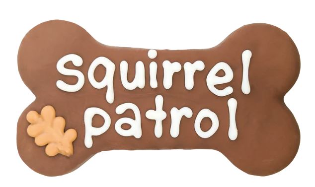 Bosco and Roxy's Cookies | Spring Bosco Roxy Squirrel Patrol 