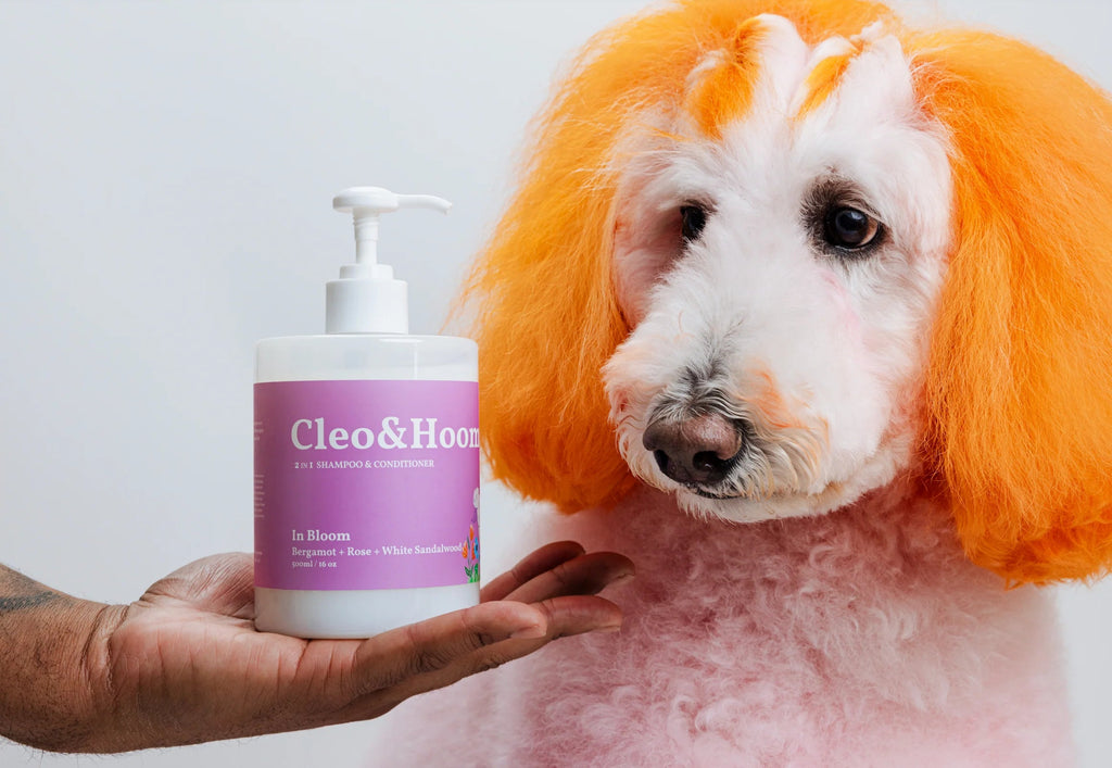 Cleo & Hooman Château Le Woof In Bloom (Shampoo & Conditioner) 
