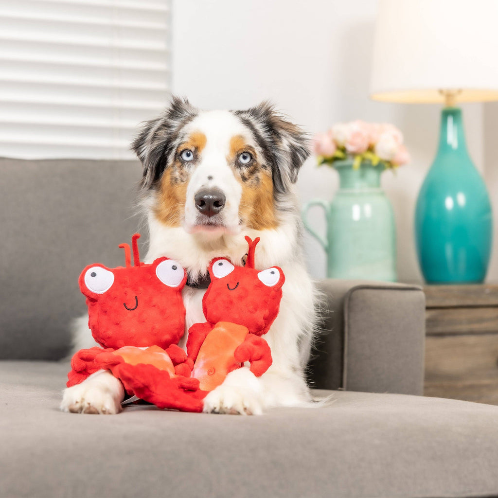 Lobster Dog Toy: Large | Huxley & Kent Toy Huxley & Kent 