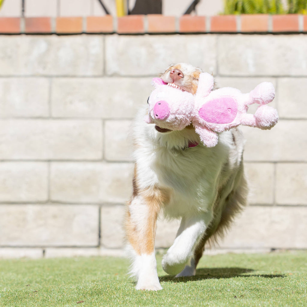 Piggie Smalls For Dogs: Small Huxley & Kent 