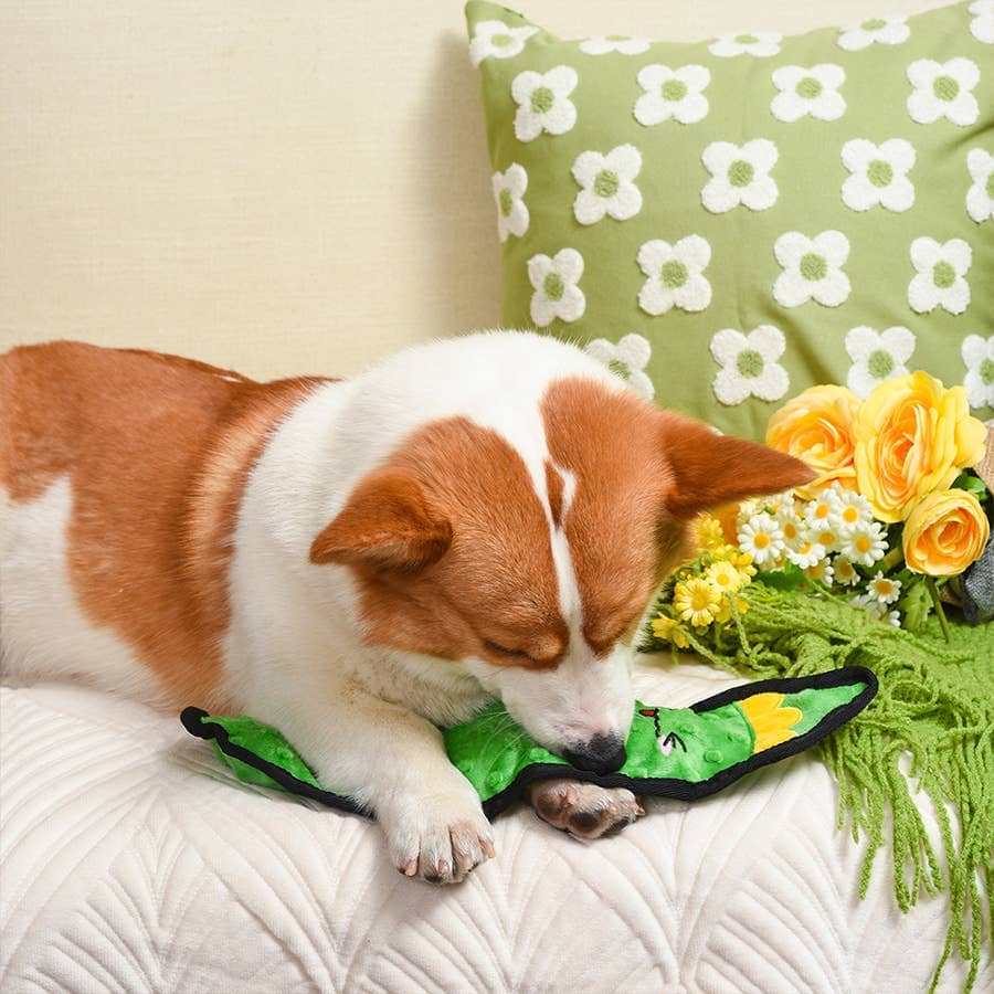 HugSmart | Pickle Toy Hugsmart Products Inc 