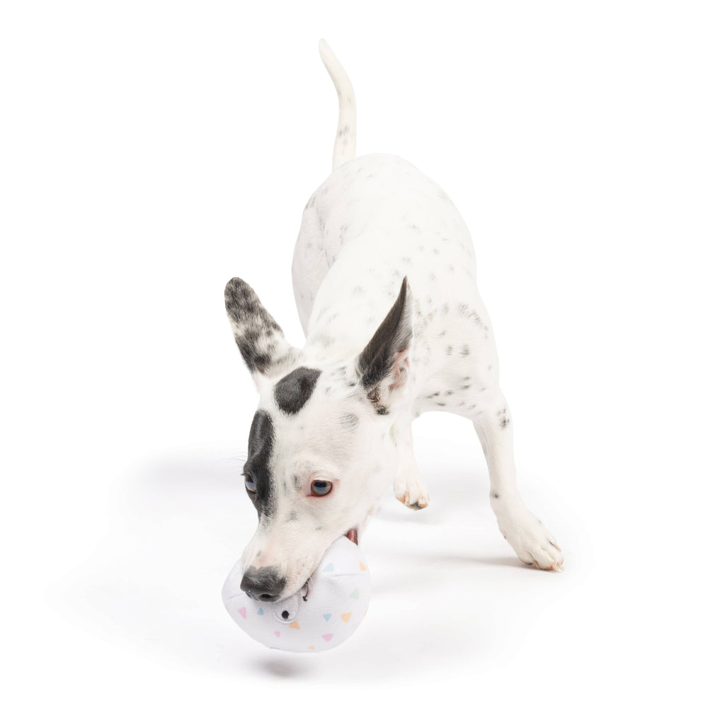 Huxley & Kent | Squeaky Eggs Toy Huxley & Kent 
