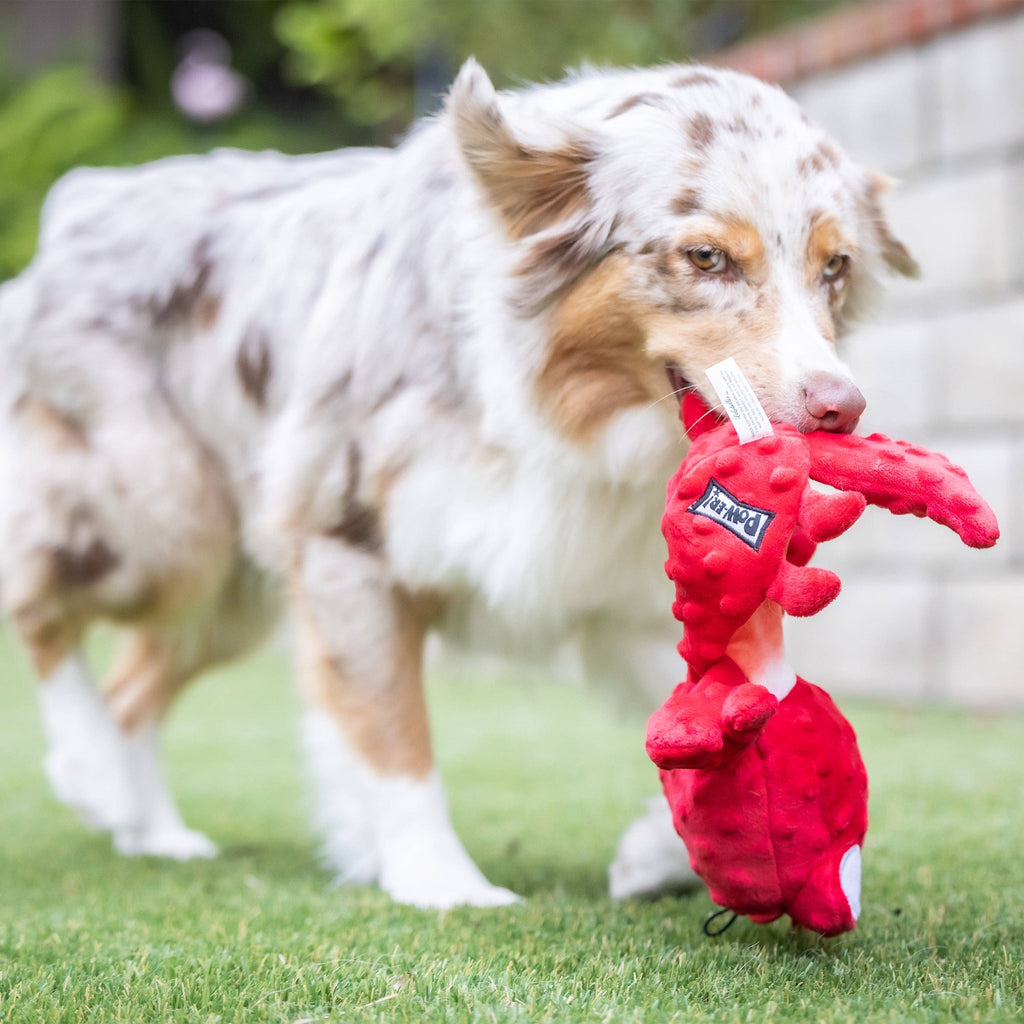 Lobster Dog Toy: Large | Huxley & Kent Toy Huxley & Kent 