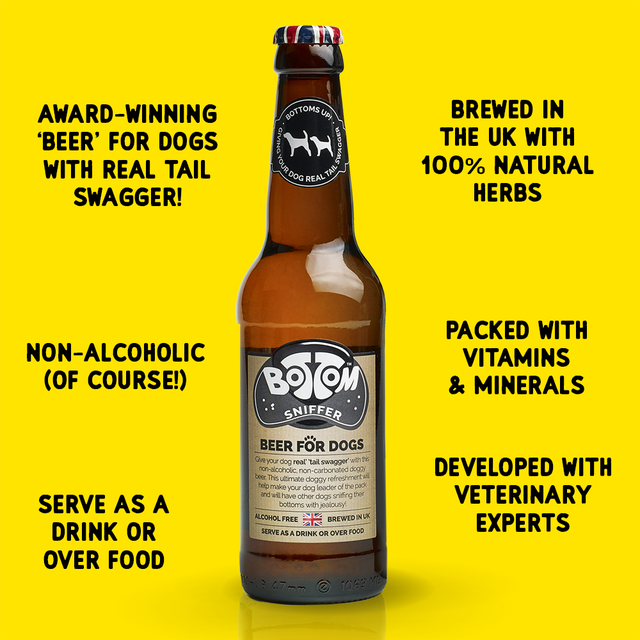 Bottom Sniffer Non-Alcoholic Beer For Dogs Jojo Modern Pets 