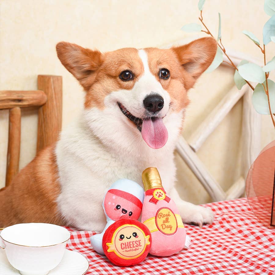 HugSmart Pet | Backyard Picnic Toy Hugsmart Products Inc 