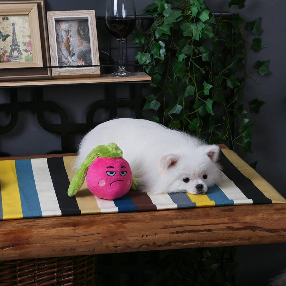 HugSmart | Radish Toy Hugsmart Products Inc 