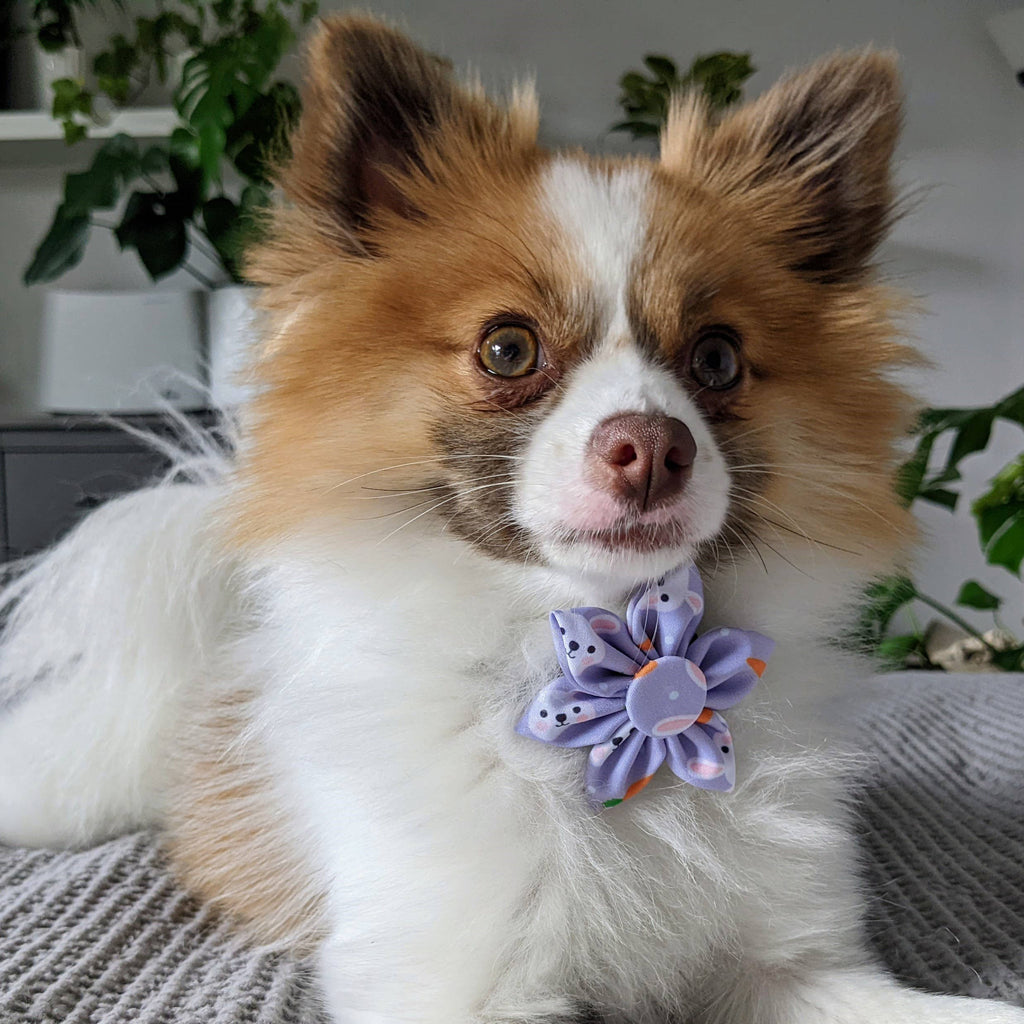 Huxley & Kent | Pinwheel Purple: Small Toy Huxley & Kent 