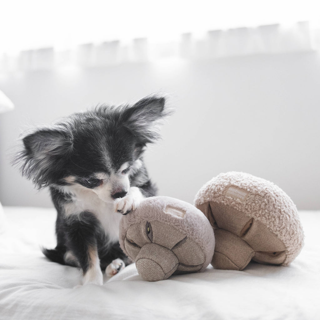 MUSHROOM DOG TOY | Lambwolf Collective Dog Toys Lambwolf Collective 