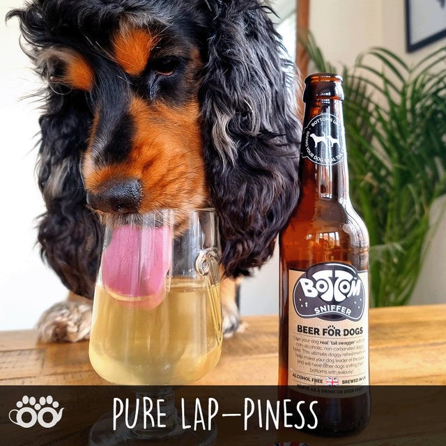 Bottom Sniffer Non-Alcoholic Beer For Dogs Jojo Modern Pets 