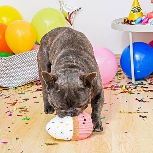 Cupcake - Dog Plush Toy Dog Toys Hugsmart Products Inc 