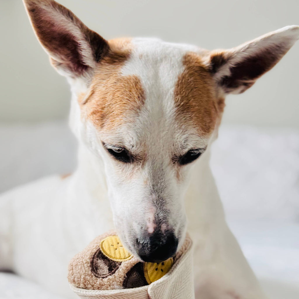 CREPE DOG TOY | Lambwolf Collective Dog Toys Lambwolf Collective 