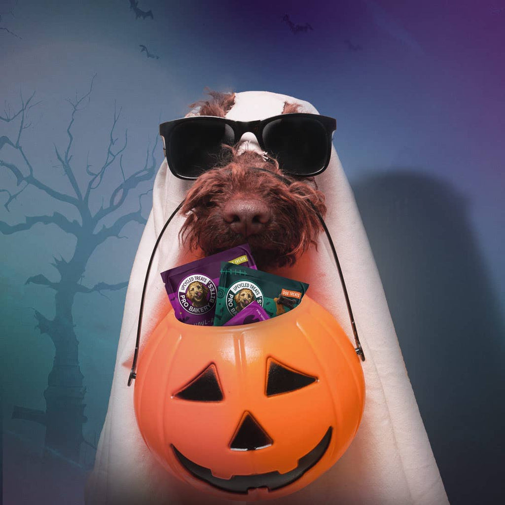 NEW! Tail-O-Ween 1oz. Treat Packs (12 count bag) Treat Pro Bakery Bites by Ag-Alchemy 