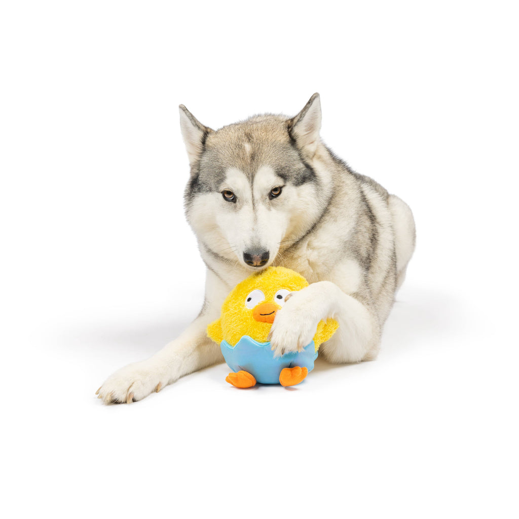 Huxley & Kent | Chick-A-Dee: Lg Toy Huxley & Kent 