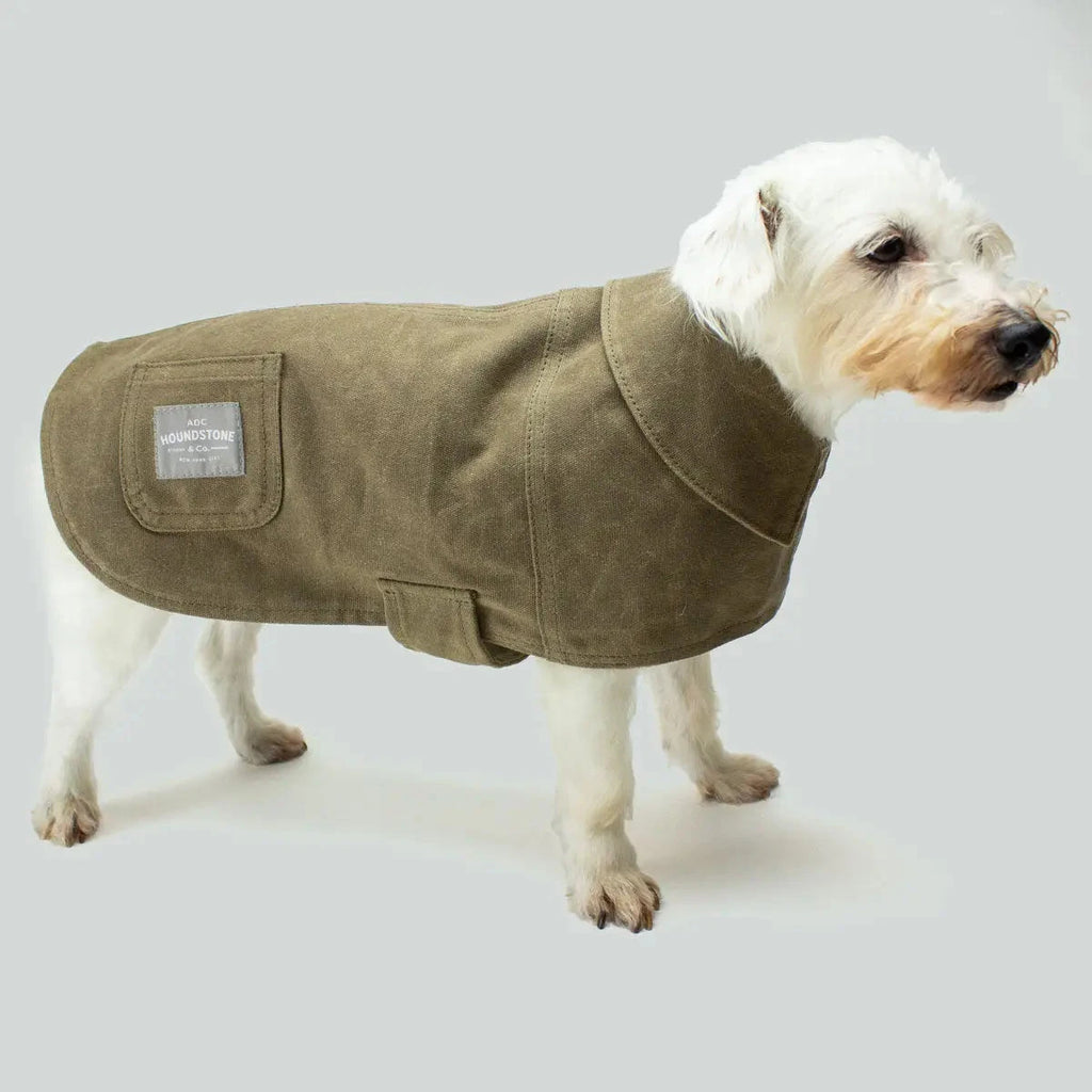 Waxed Canvas Tan Coat | Houndstone Max & Bone SM 