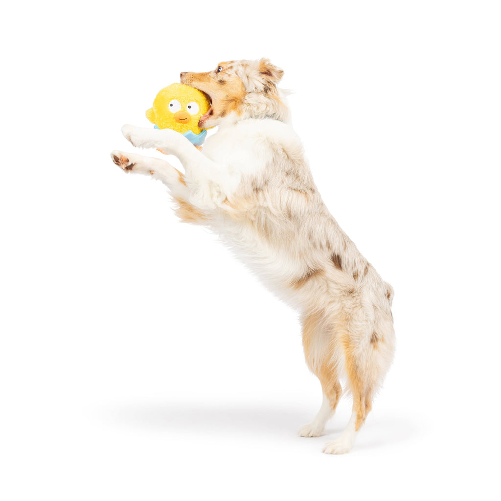 Huxley & Kent | Chick-A-Dee Dog Toy: Sm Toy Huxley & Kent 