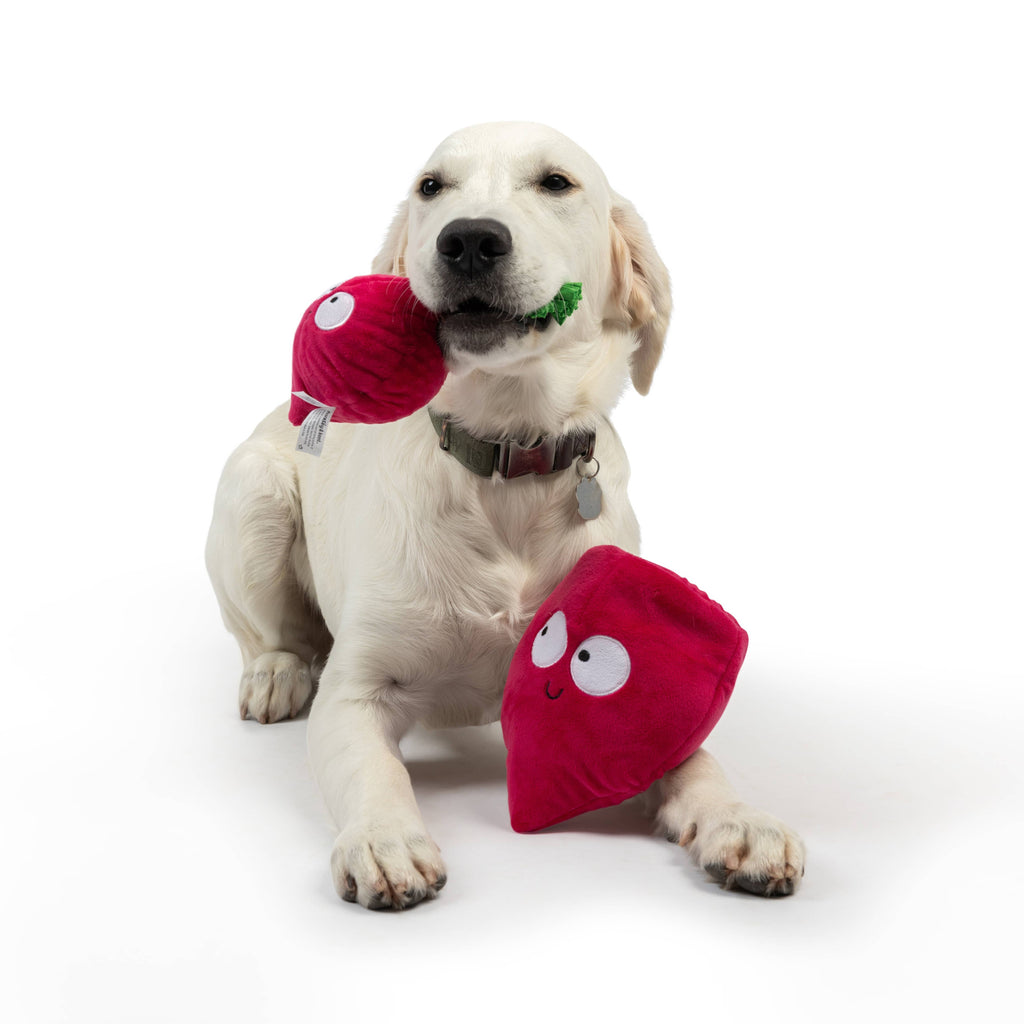 Huxley & Kent | Beet: Small Toy Huxley & Kent 