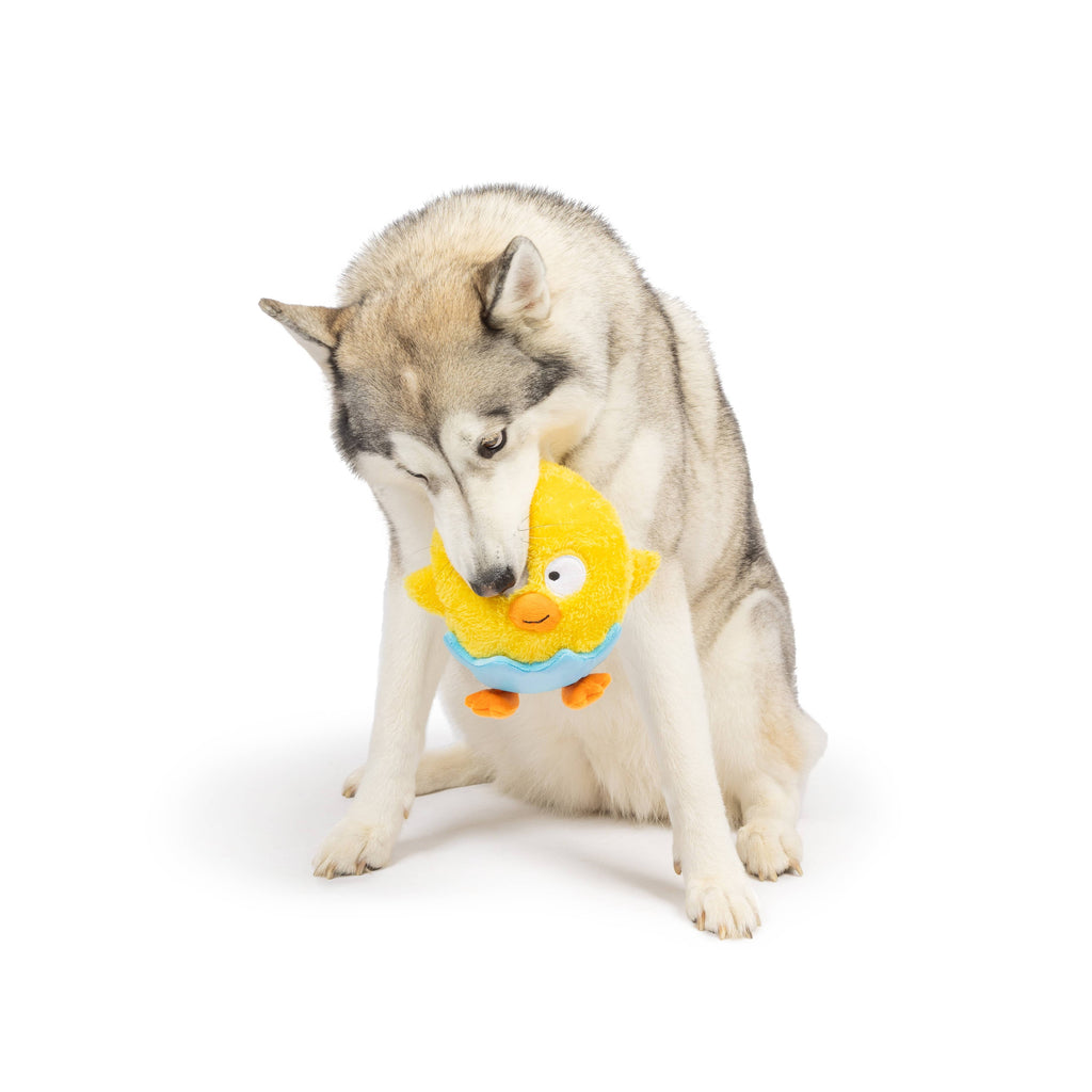 Huxley & Kent | Chick-A-Dee: Lg Toy Huxley & Kent 