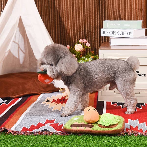 HugSmart | Garden Sniffle Toy Hugsmart Products Inc 