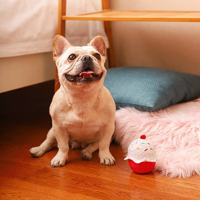 HugSmart | Cupcake Toy Hugsmart Products Inc 