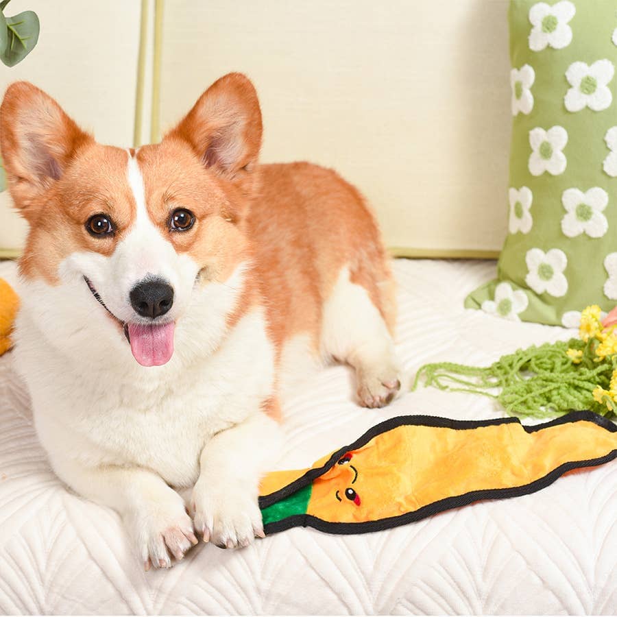 HugSmart | Carrot Toy Hugsmart Products Inc 