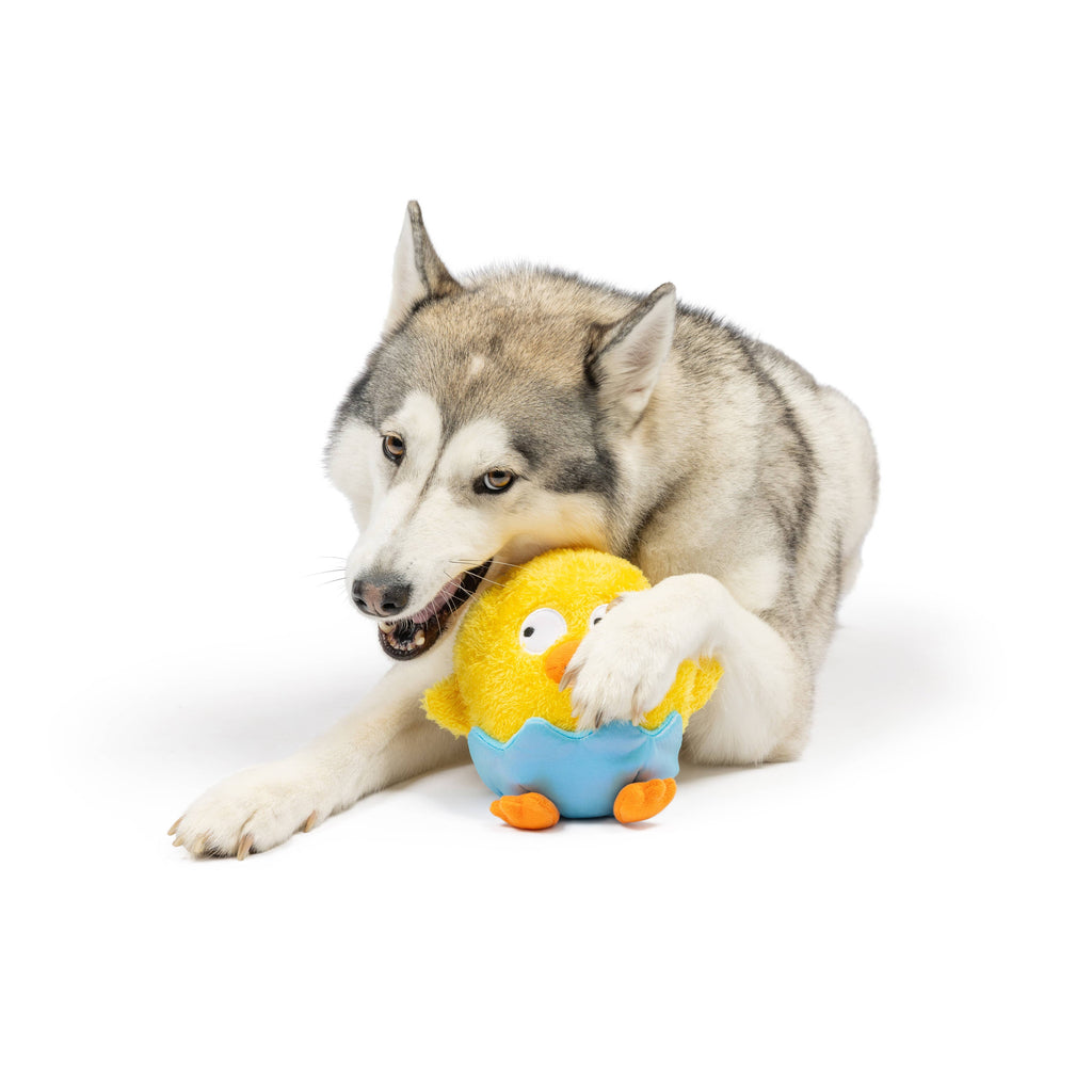Huxley & Kent | Chick-A-Dee: Lg Toy Huxley & Kent 