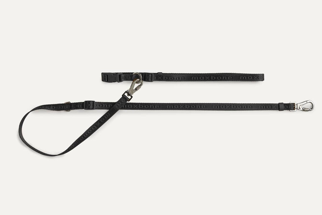 Mini GO! Hands-Free Leash: Black maxbone 