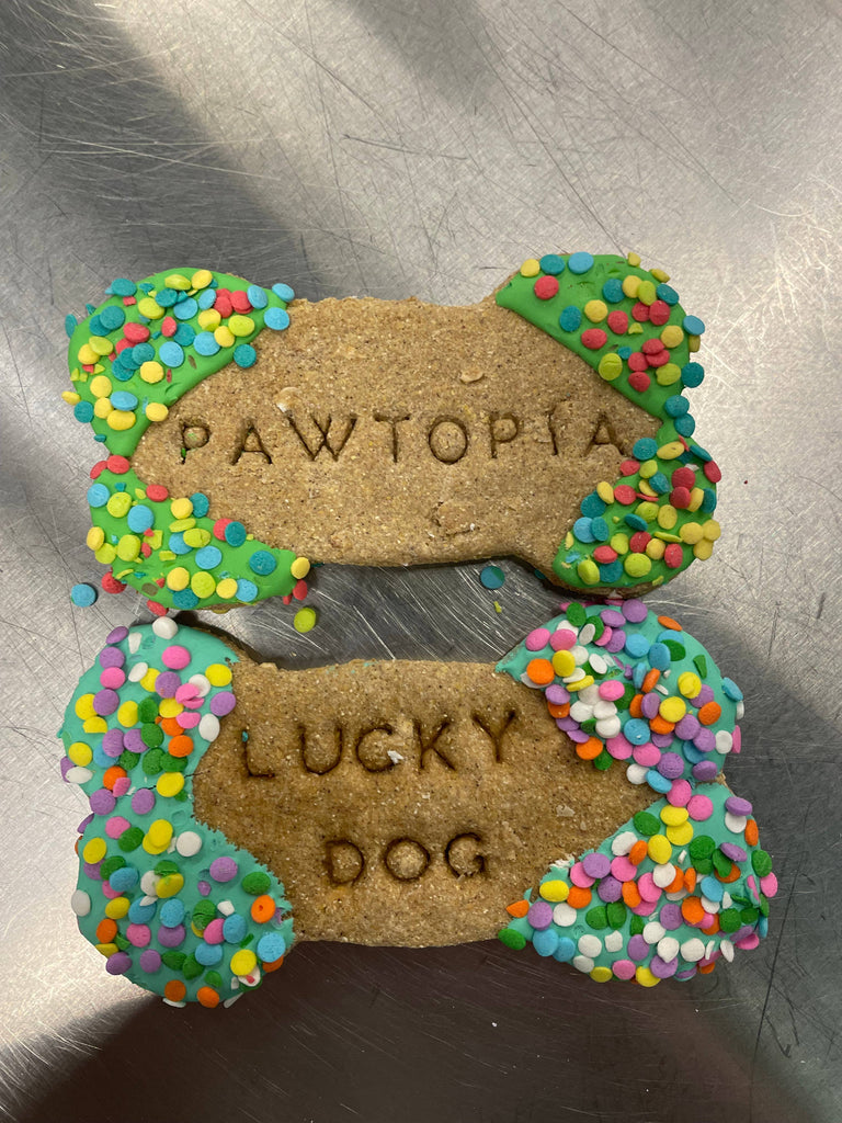 10 Years Strong | Lucky Biscuit Treat Lucky Biscuit Pet Bakery 