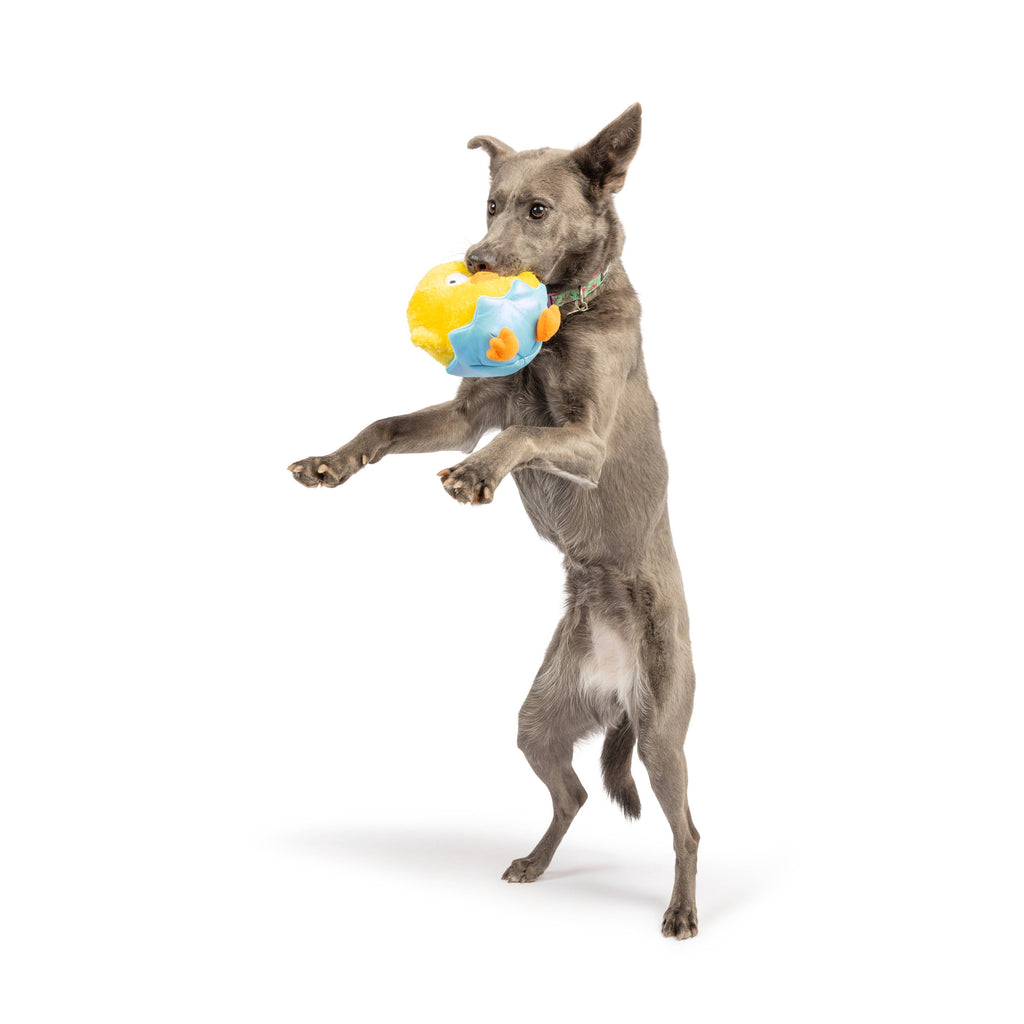 Huxley & Kent | Chick-A-Dee: Lg Toy Huxley & Kent 