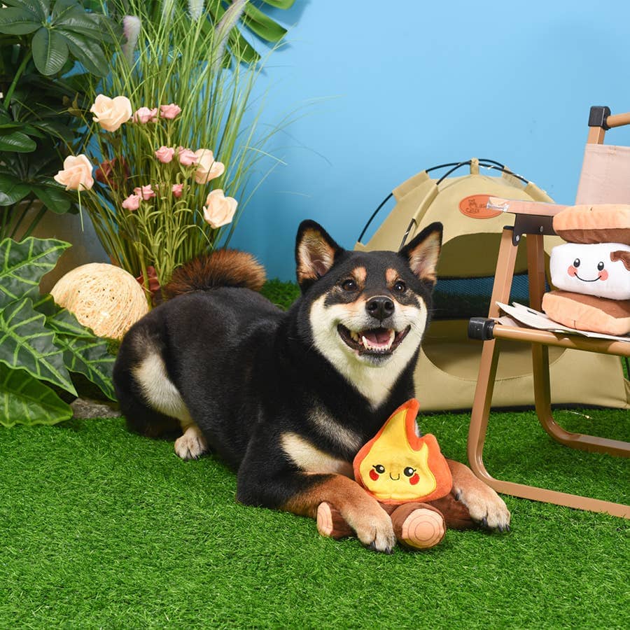 HugSmart | Campfire Toy Hugsmart Products Inc 