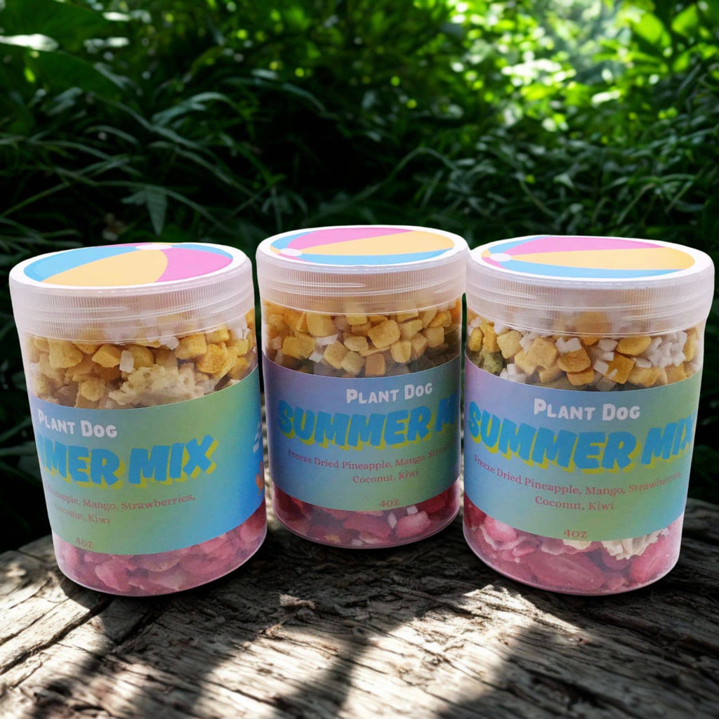 Summer Mix | Plant Dog Treat Plant Dog LLC 