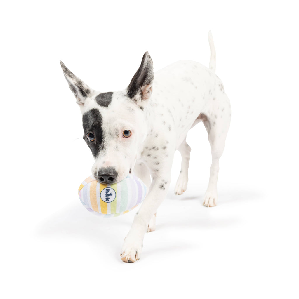 Huxley & Kent | Squeaky Eggs Toy Huxley & Kent 