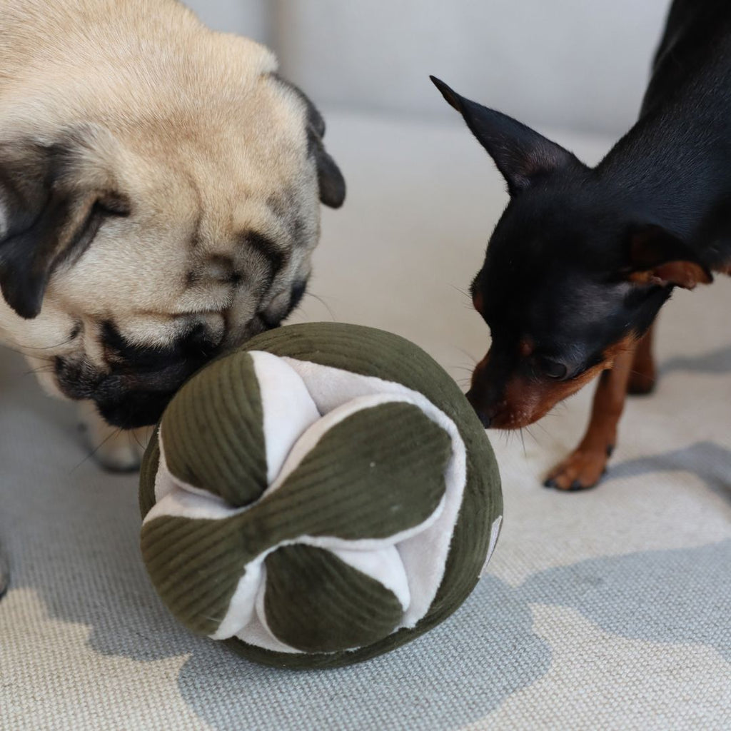 MONTI Enrichment Toy | Lambwolf Collective Dog Toys Lambwolf Collective 