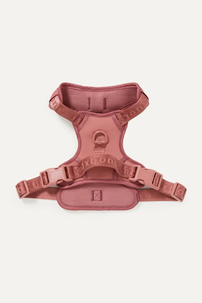 Easy Fit Harness | Maxbone maxbone Rosewood Small 