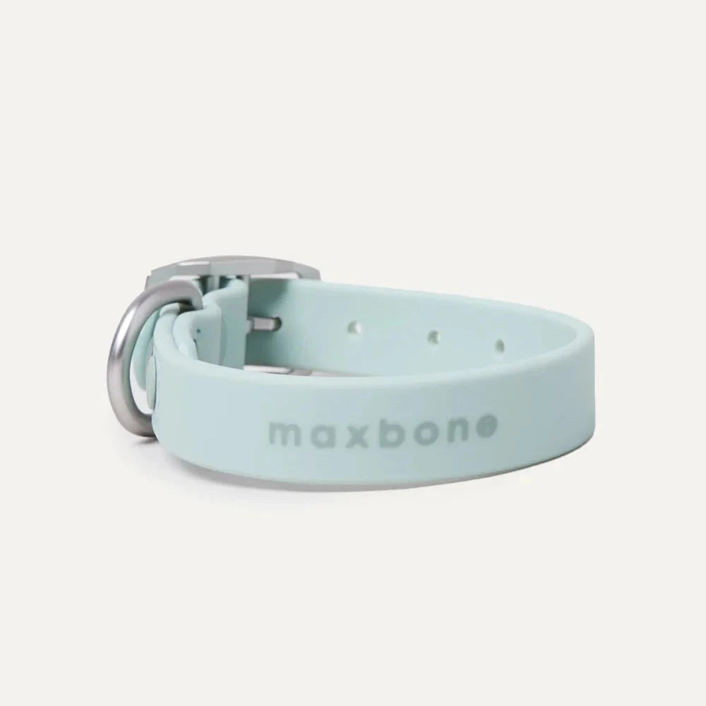 Hazel Collar | Maxbone maxbone 