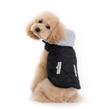 Coats by DOGO DOGO City Puffer Jacket (Black) XSmall 