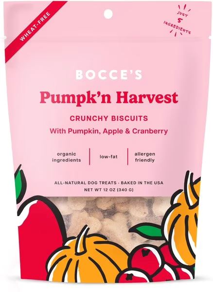 Bocce’s Pumpkin Harvest Bocce's Bakery 