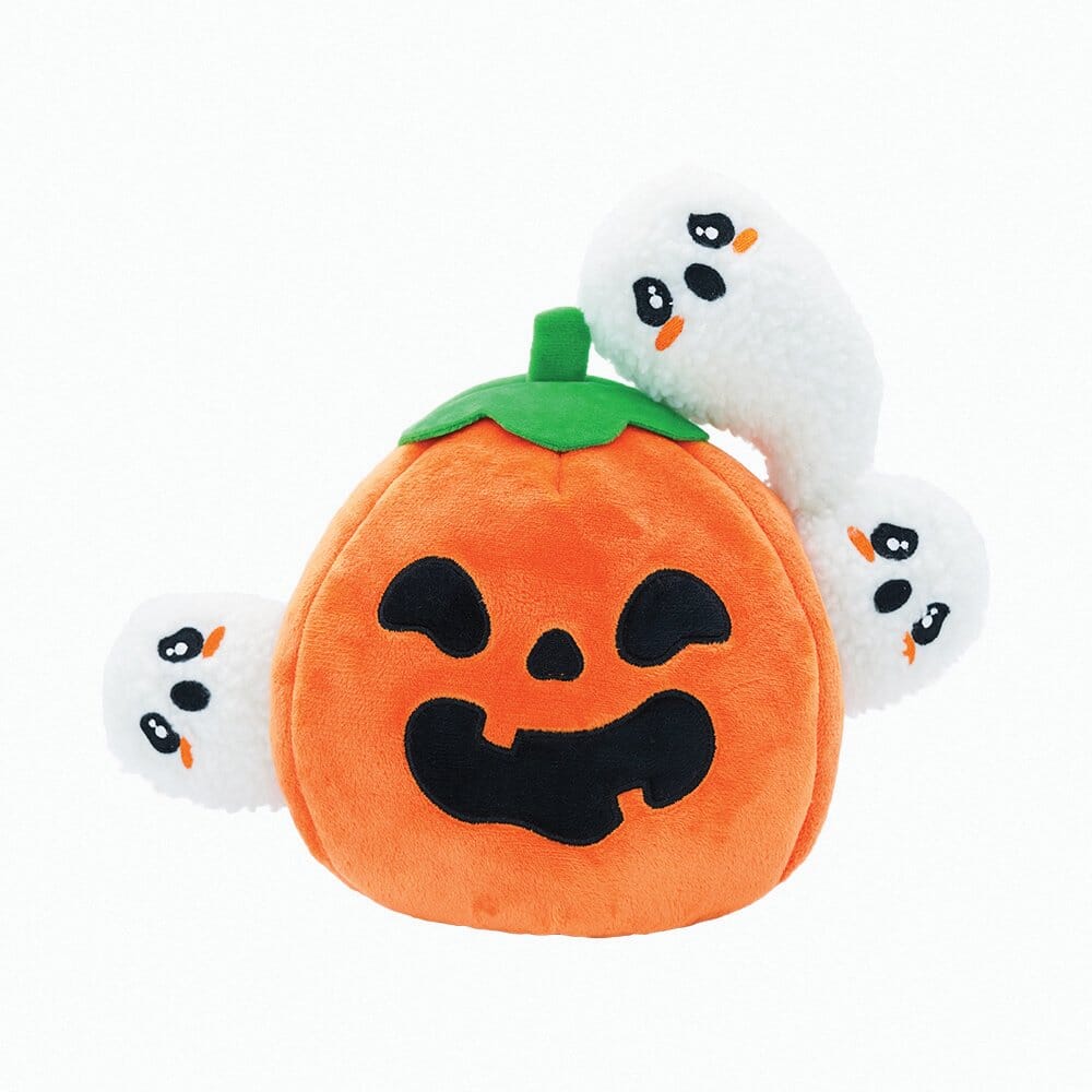 Pumpkin Puzzle Hunter Dog Toys HugSmart 