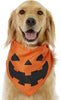 Fall/Halloween | Dog Bandana Co. Dog Bandana Co. 