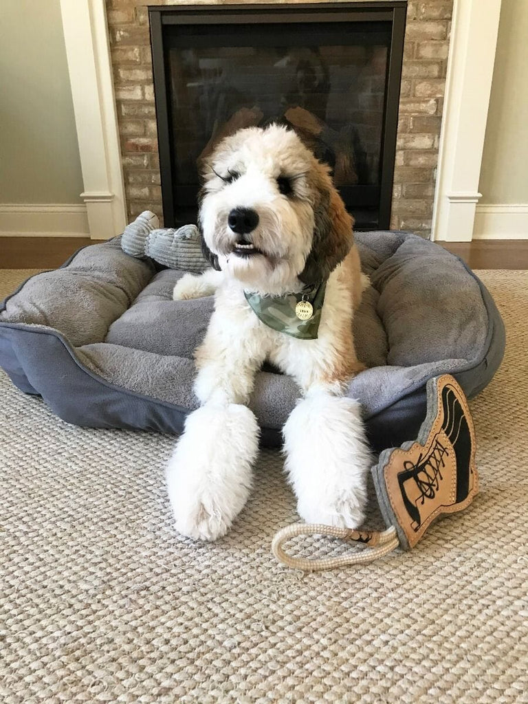 Leather & Wool Hiking Boot | Tall Tails Dog Toys Tall Tails 