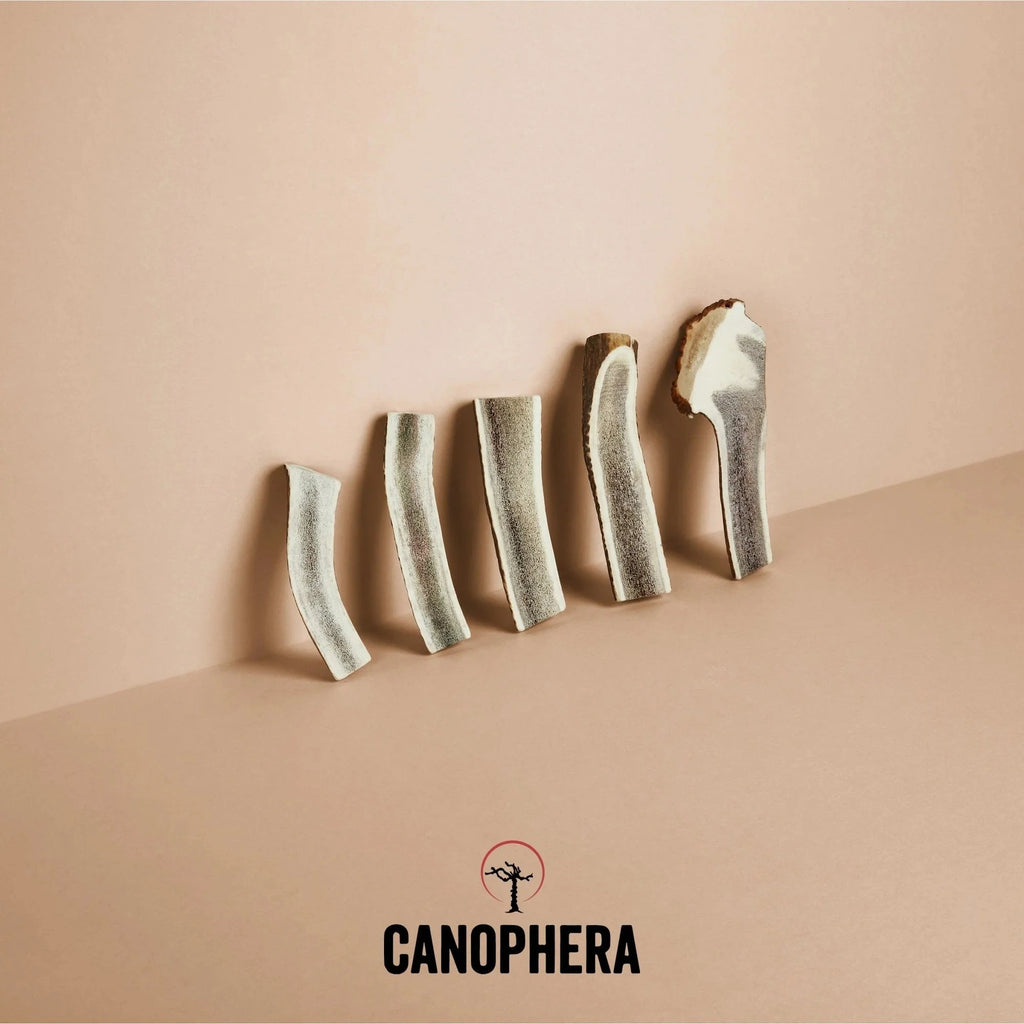 CANOPHERA CHEWS Treat Château Le Woof Red Deer Antler One Size 