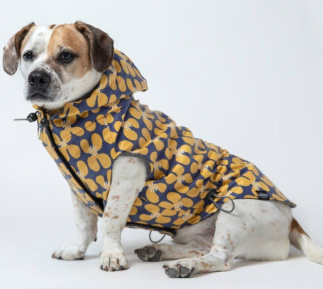 Raincoats by The Long Dog Company Chateau Le Woof 