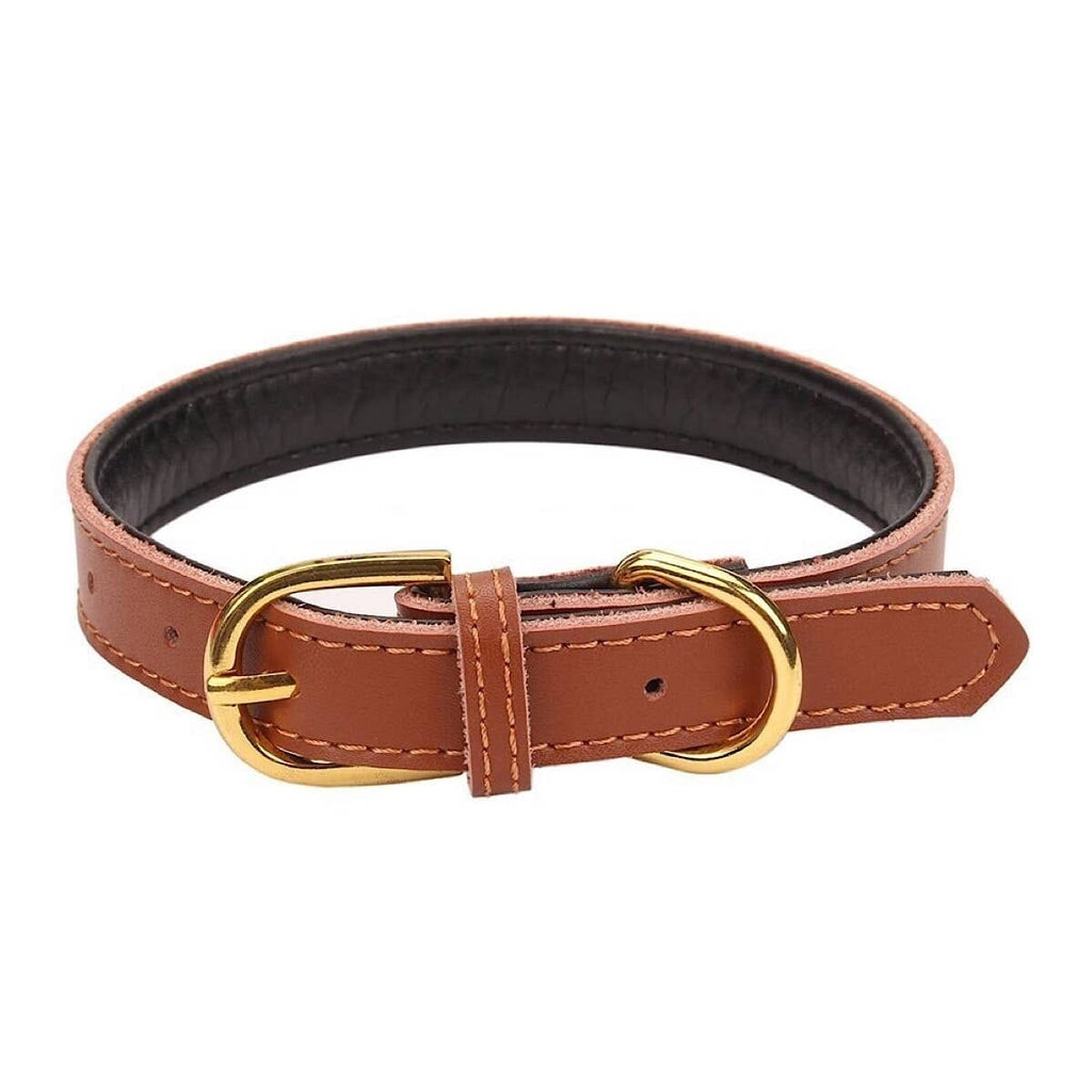BARK by DOG - SOLID COLLAR BROWN (SIZE: SMALL) BARK by DOG 