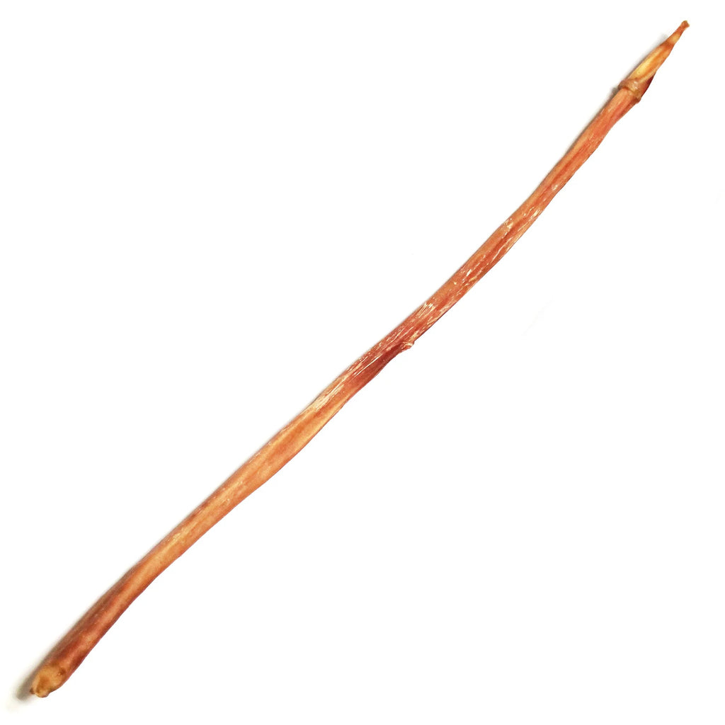 Tuesday's Natural Dog Company | Bully Sticks The Natural Dog Company 22" Cane 